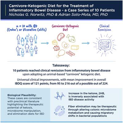 Case report: Carnivore–ketogenic diet for the treatment of inflammatory bowel disease: a case series of 10 patients